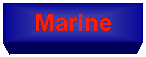 Text Box: Marine
